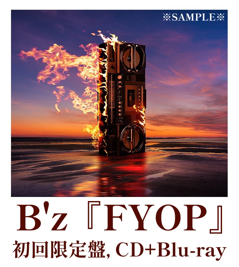 BMCV-8076